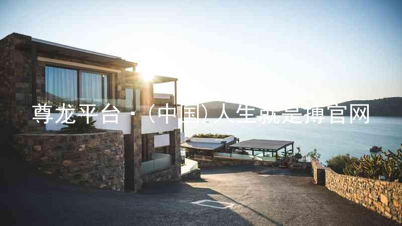 尊龙平台·(中国)人生就是搏官网